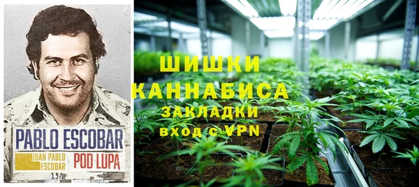 индика Алексин