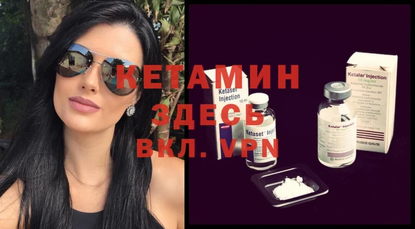 индика Алексин